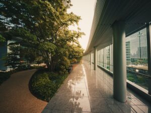 Serene urban walkway blending nature and modern architecture, perfect for a peaceful city walk.